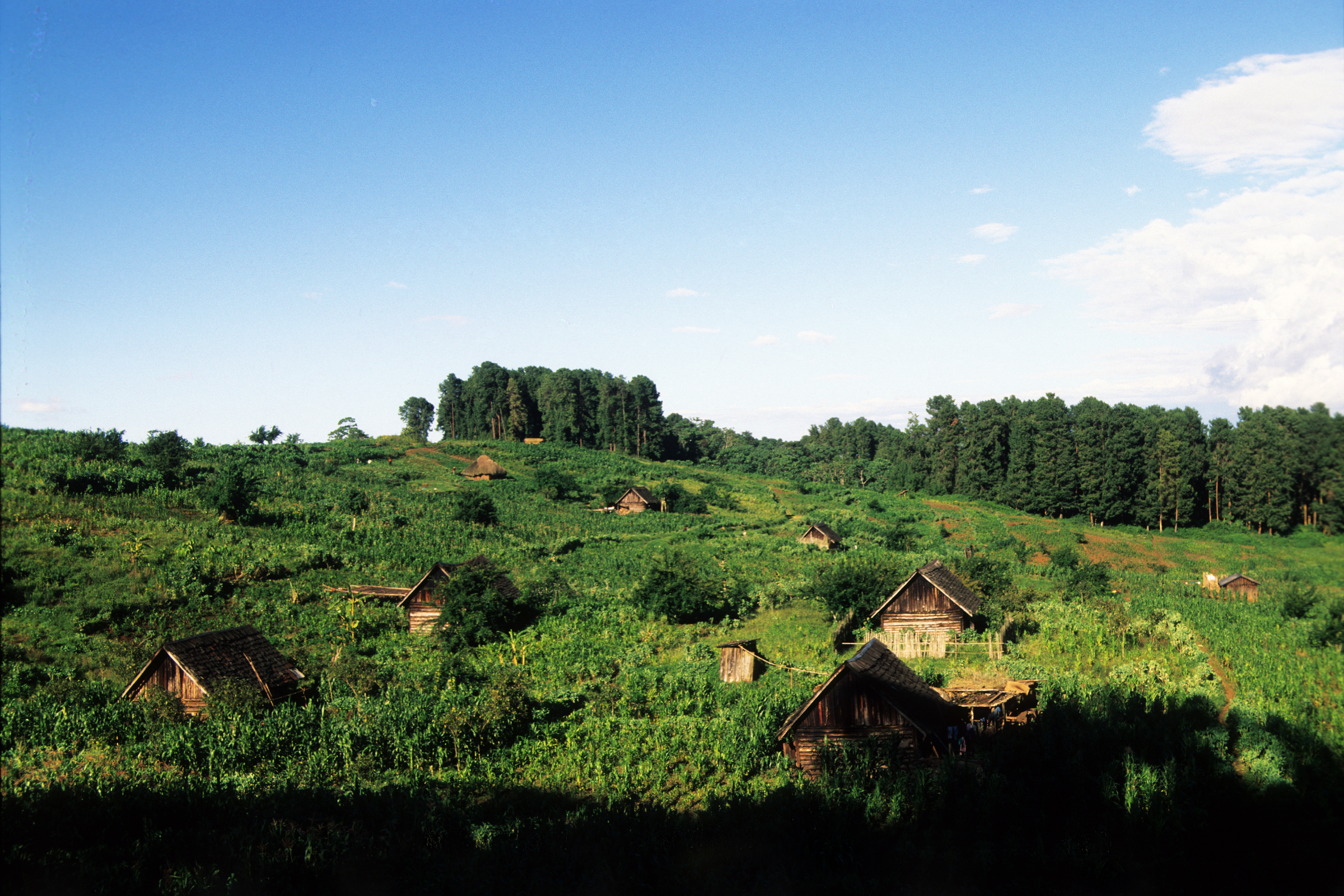 aberdare national park (2).webp
